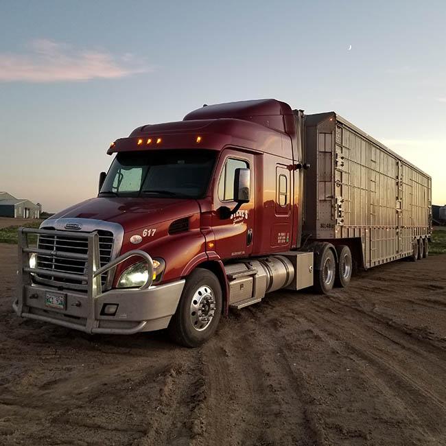 Steves Livestock Transport Truck